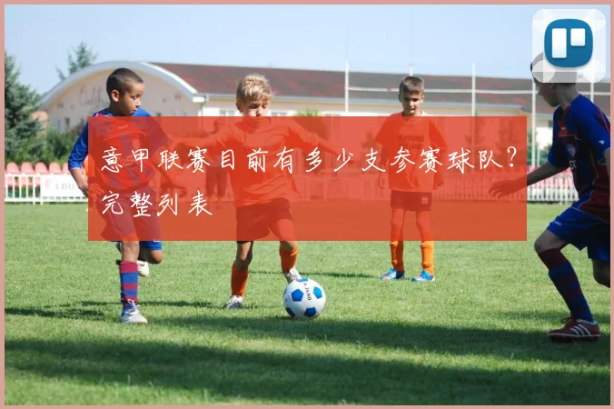 意甲联赛目前有多少支参赛球队?完整列表