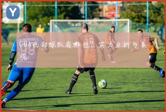 CBA西部球队有哪些？实力分析与表现