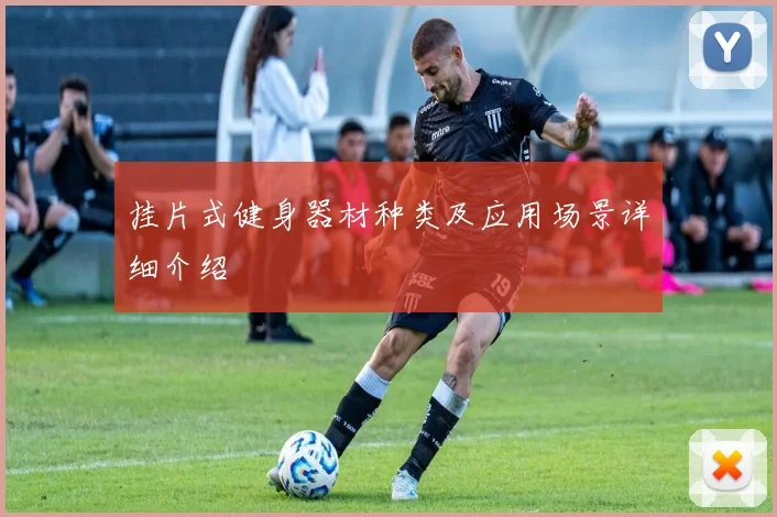 挂片式健身器材种类及应用场景详细介绍