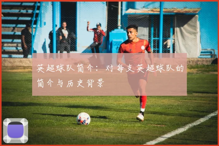 英超球队简介：对每支英超球队的简介与历史背景