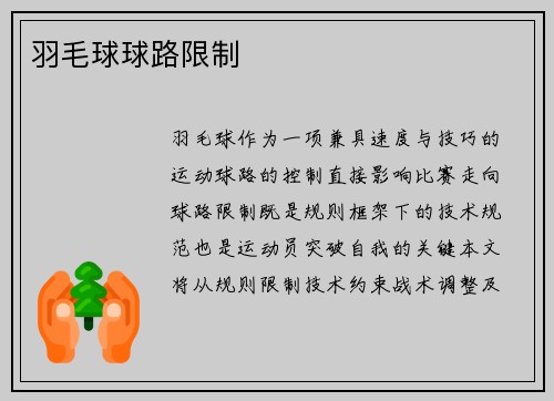 羽毛球球路限制
